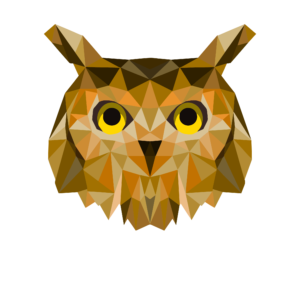 Nocto logo