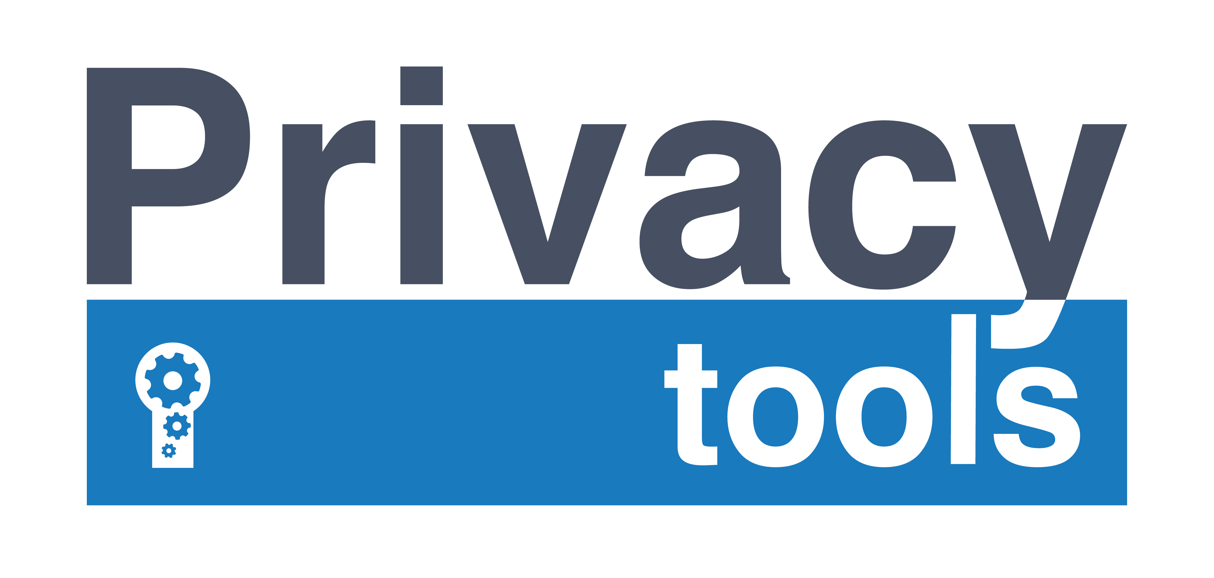 Privacy Tools logo