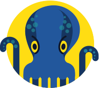 JetOctopus logo