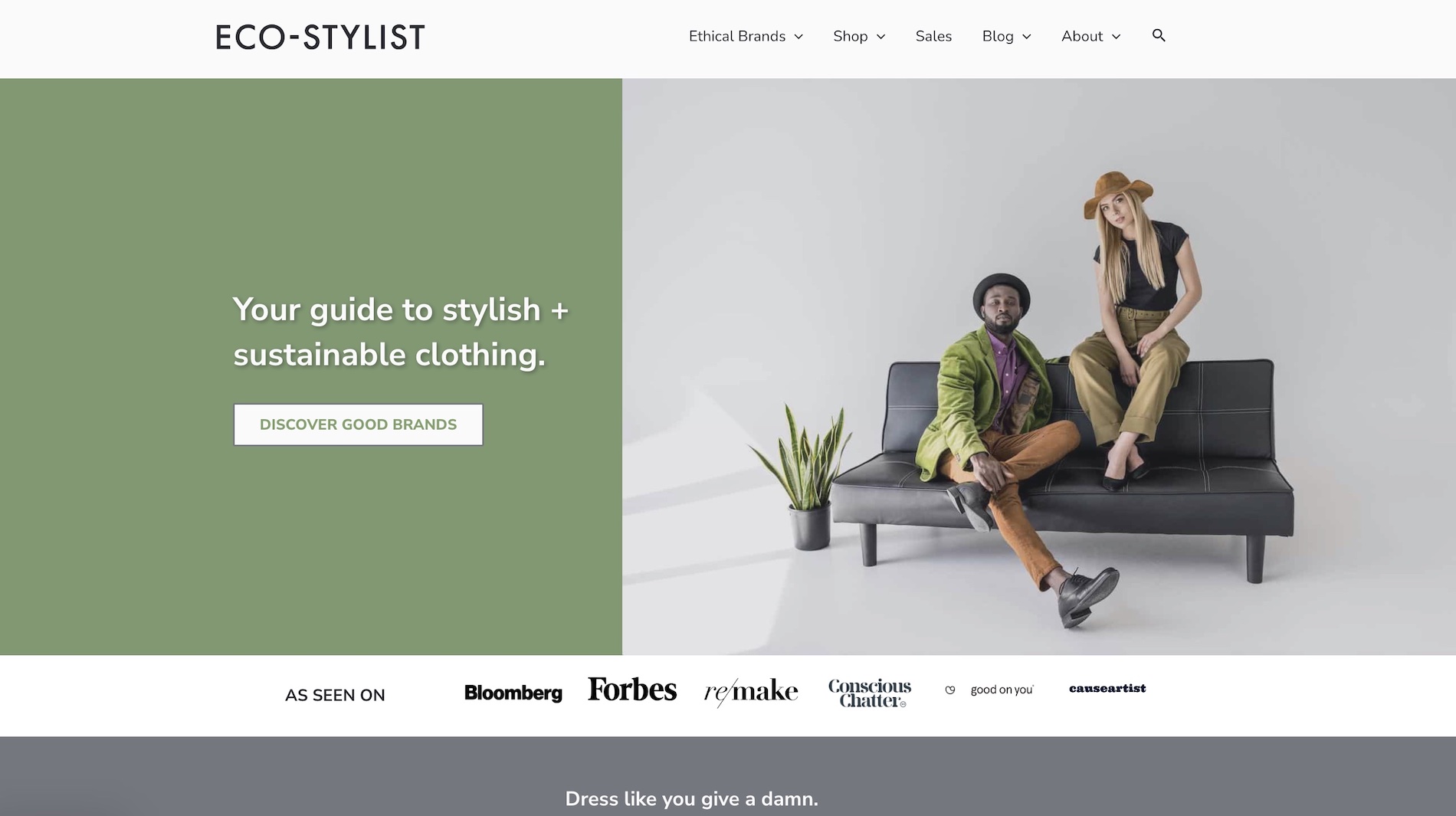Eco-Stylist homepage